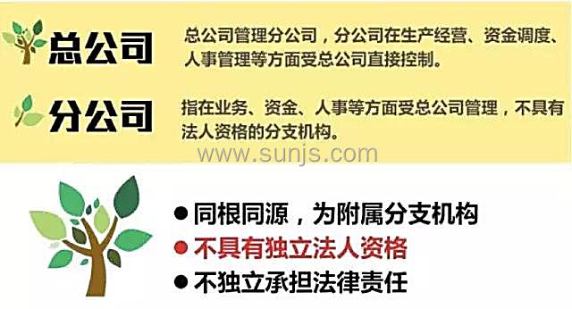 總公司分公司母公司與子公司的聯繫與區別